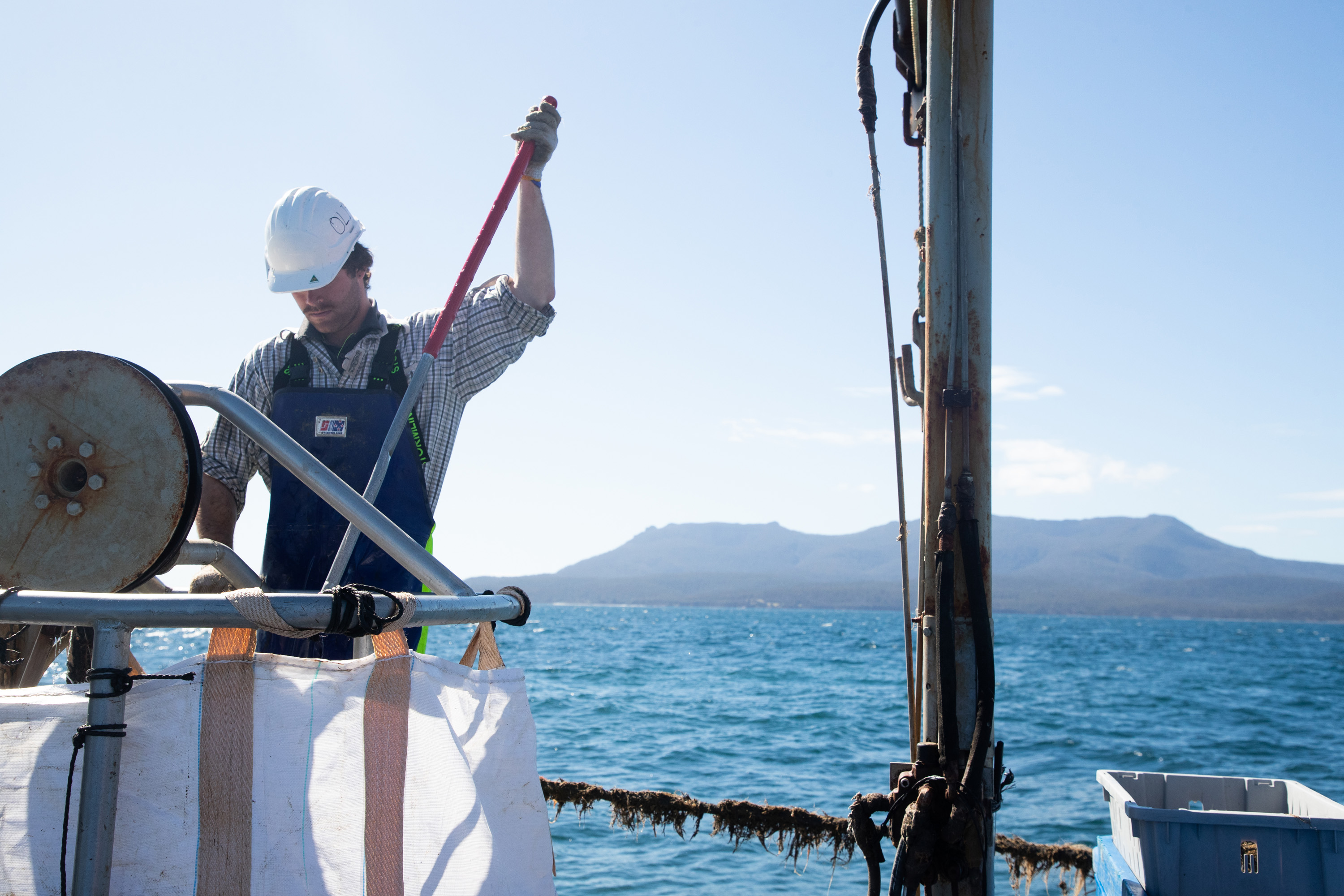 Sea Forest X 4 Pines